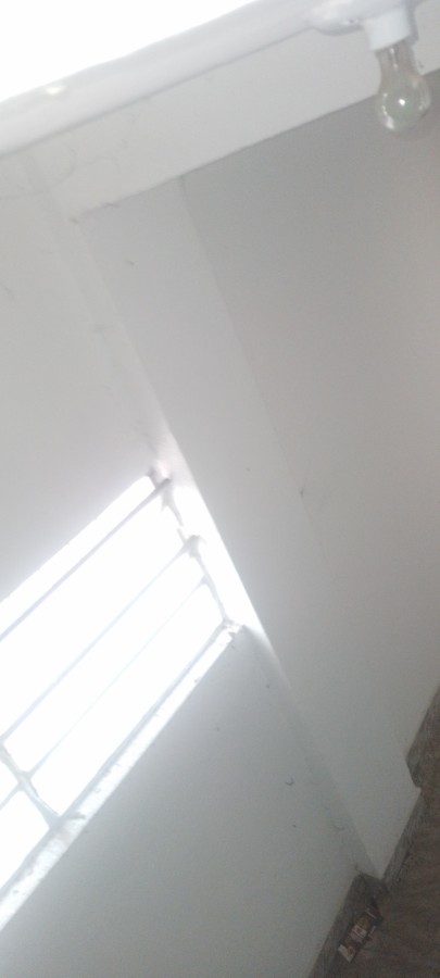 Casa, 3 quartos, 223 m² - Foto 7
